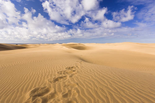 Maspalomas Sand Dunes